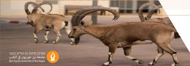 האגודה הישראלית לפילוסופיה